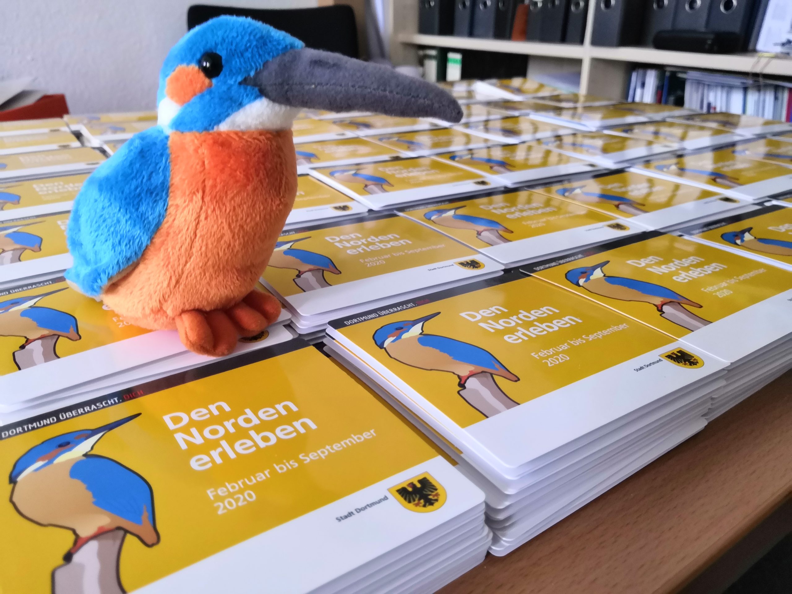 Eisvogel Programmhefte_Felix Brückner
