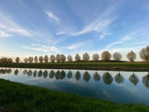 7. Kanal_Bettina Wagener