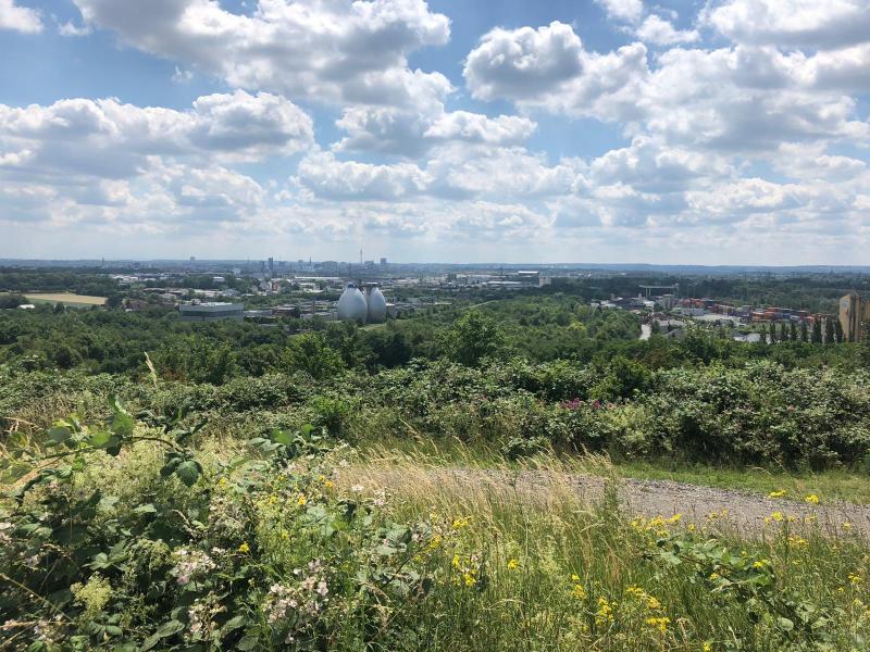 12.-Deusenberg_Ullrich-Sierau